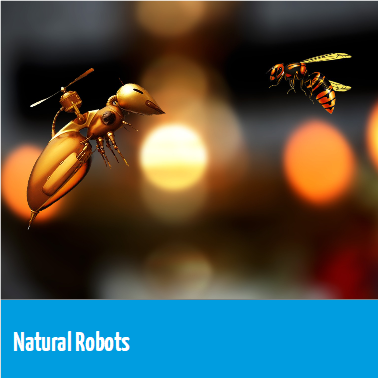 Natural Robots